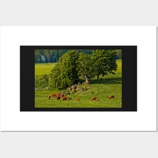 English Country Farming Scene Posters and Art